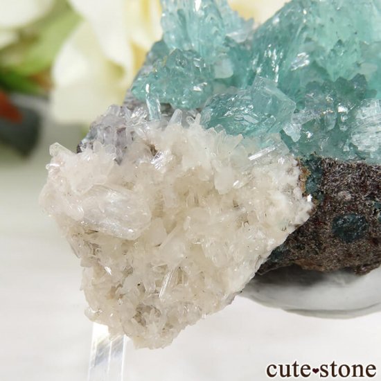  륬 ꡼󥢥ݥե饤Ȥθ 22gμ̿5 cute stone