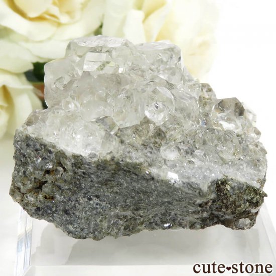  ͥ륹 顼쥹ե饤Ȥդ뾽() 92gμ̿0 cute stone