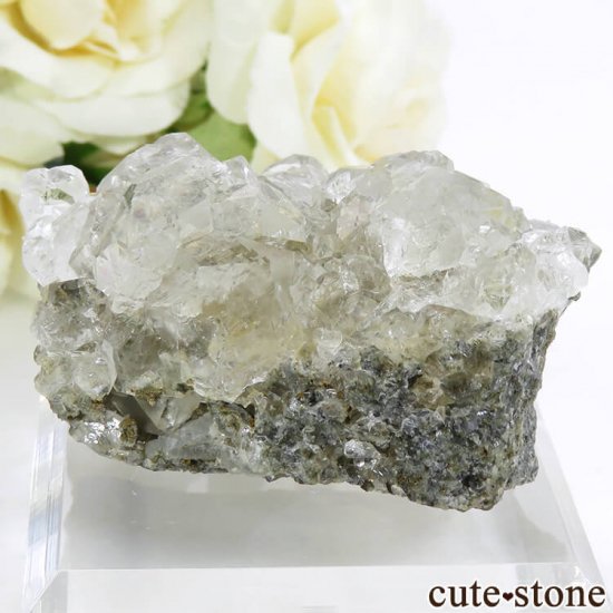  ͥ륹 顼쥹ե饤Ȥդ뾽() 92gμ̿1 cute stone
