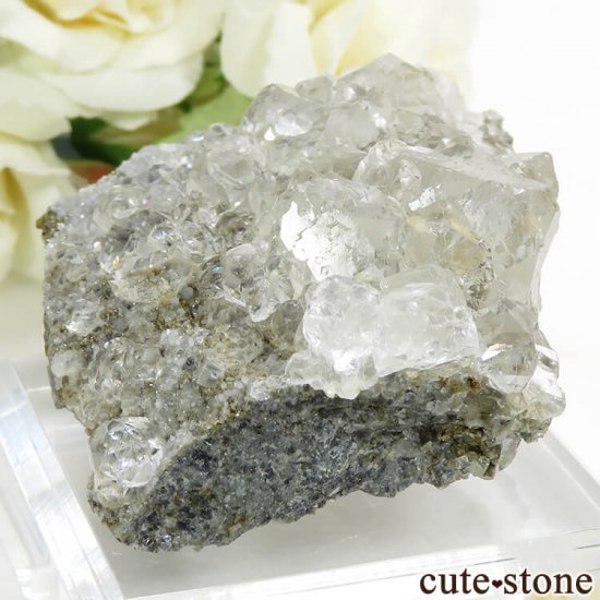  ͥ륹 顼쥹ե饤Ȥդ뾽() 92gμ̿2 cute stone