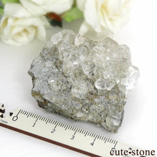 ͥ륹 顼쥹ե饤Ȥդ뾽() 92gμ̿6 cute stone