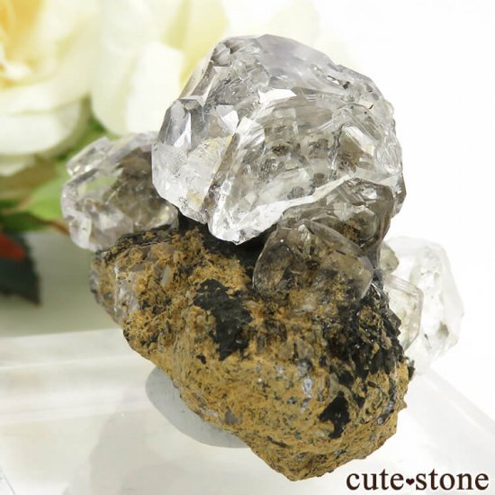  ͥ륹 顼쥹ե饤Ȥդ뾽() 53gμ̿0 cute stone