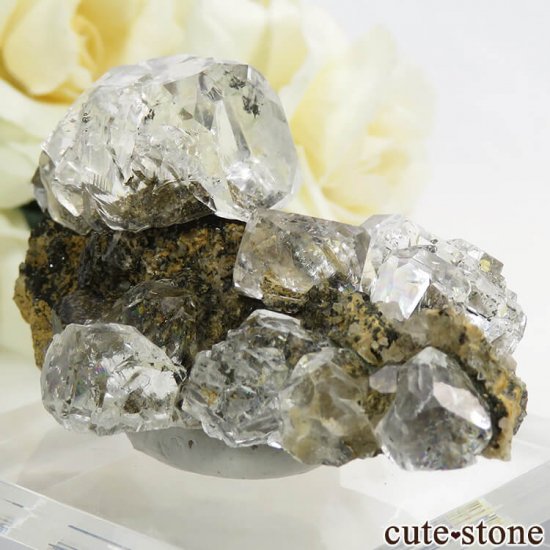  ͥ륹 顼쥹ե饤Ȥդ뾽() 53gμ̿2 cute stone