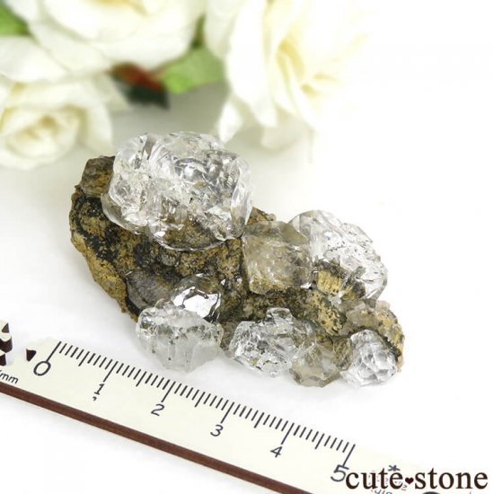  ͥ륹 顼쥹ե饤Ȥդ뾽() 53gμ̿7 cute stone