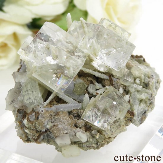  ͥ륹 顼쥹ե饤ȡĤդ뾽() 48gμ̿0 cute stone