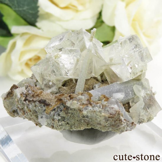  ͥ륹 顼쥹ե饤ȡĤդ뾽() 48gμ̿1 cute stone