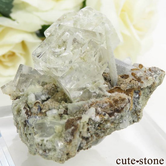  ͥ륹 顼쥹ե饤ȡĤդ뾽() 48gμ̿2 cute stone