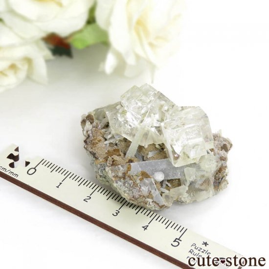  ͥ륹 顼쥹ե饤ȡĤդ뾽() 48gμ̿5 cute stone