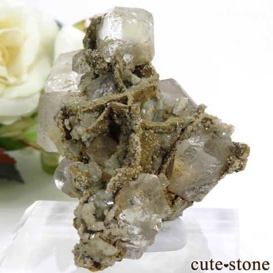  ͥ륹 顼쥹ե饤Ȥդ뾽() 71gμ̿0 cute stone