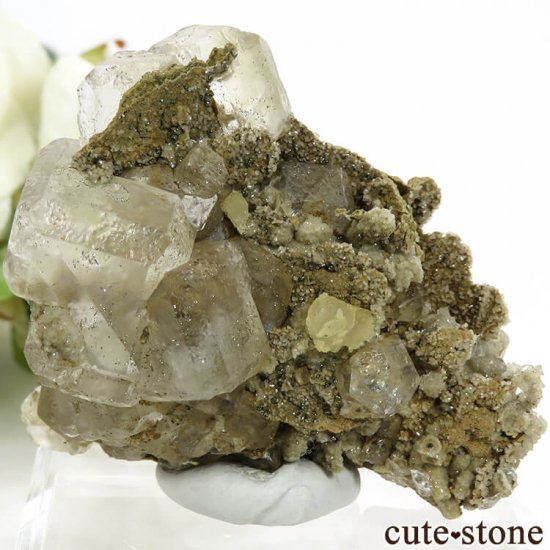  ͥ륹 顼쥹ե饤Ȥդ뾽() 71gμ̿1 cute stone