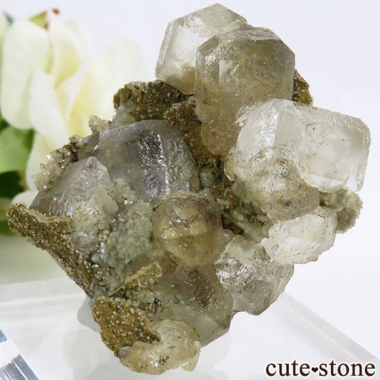  ͥ륹 顼쥹ե饤Ȥդ뾽() 71gμ̿2 cute stone