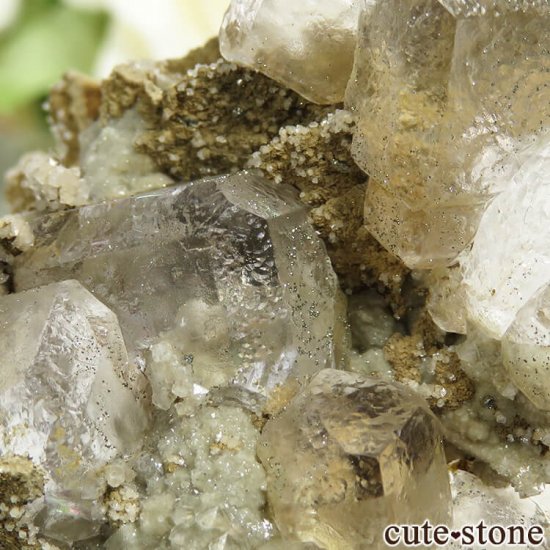  ͥ륹 顼쥹ե饤Ȥդ뾽() 71gμ̿3 cute stone