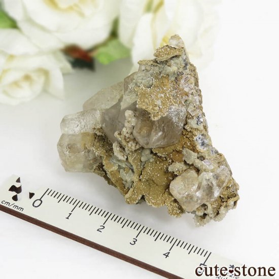  ͥ륹 顼쥹ե饤Ȥդ뾽() 71gμ̿5 cute stone