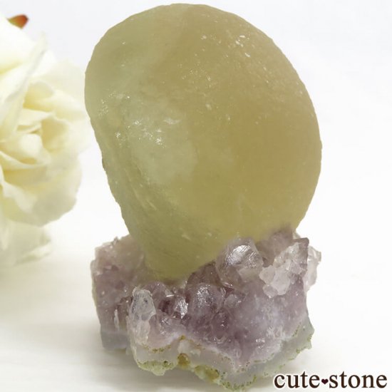 ɻ Υե饤ȡĤθ 135gμ̿0 cute stone
