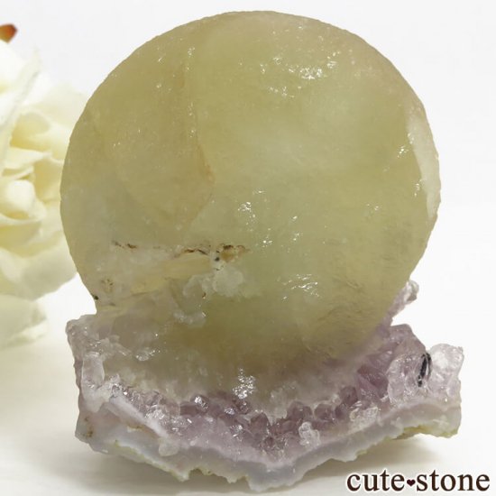 ɻ Υե饤ȡĤθ 135gμ̿1 cute stone