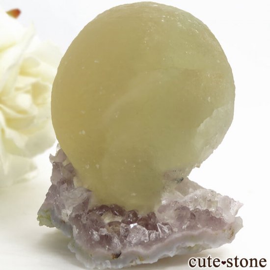 ɻ Υե饤ȡĤθ 135gμ̿2 cute stone