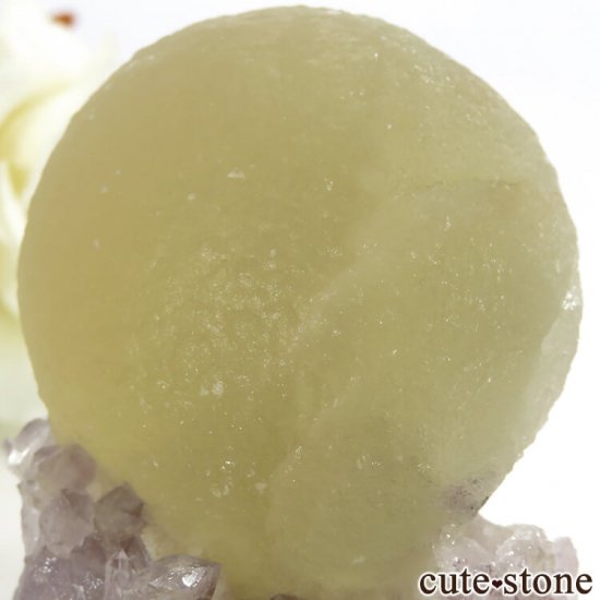 ɻ Υե饤ȡĤθ 135gμ̿3 cute stone