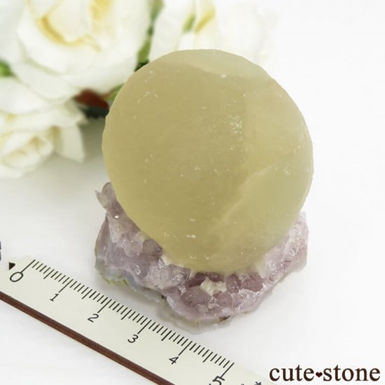 ɻ Υե饤ȡĤθ 135gμ̿6 cute stone