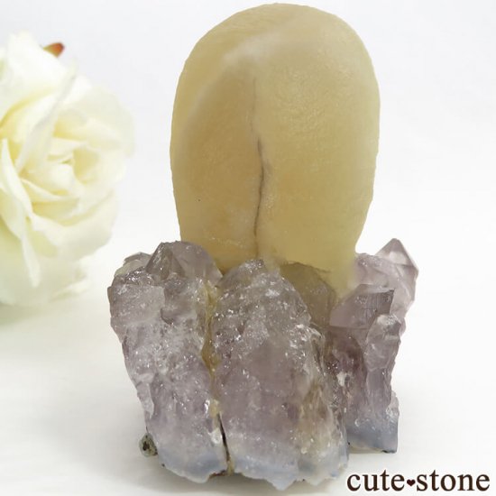ɻ Υե饤ȡĤθ 155gμ̿0 cute stone