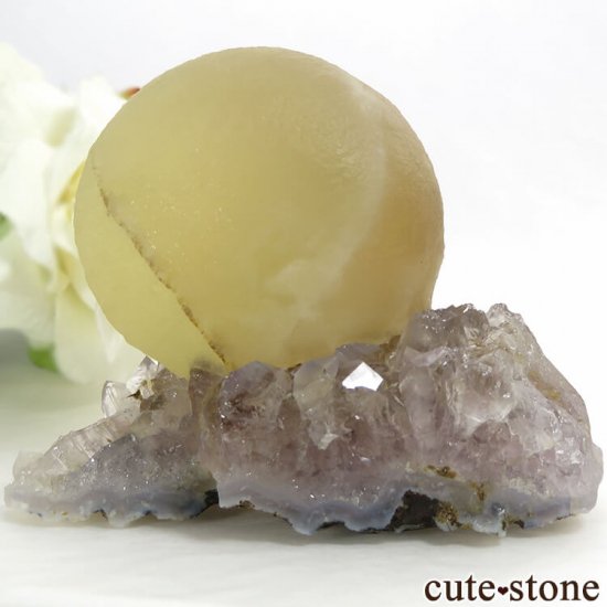 ɻ Υե饤ȡĤθ 155gμ̿1 cute stone