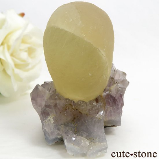 ɻ Υե饤ȡĤθ 155gμ̿2 cute stone