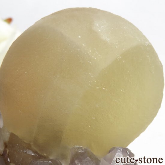 ɻ Υե饤ȡĤθ 155gμ̿4 cute stone