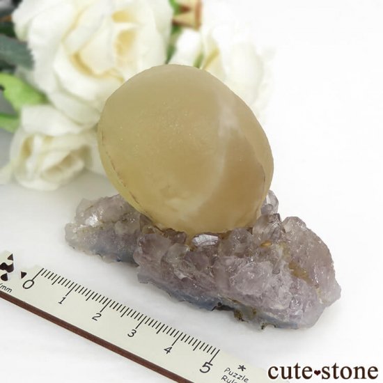 ɻ Υե饤ȡĤθ 155gμ̿5 cute stone
