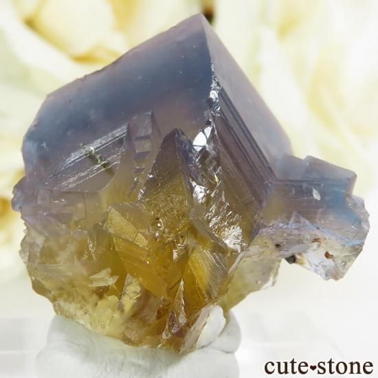 ե Valzergues ֥롼ե饤Ȥη뾽ʸС19gμ̿1 cute stone