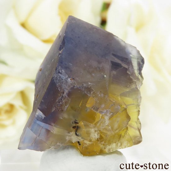 ե Valzergues ֥롼ե饤Ȥη뾽ʸС19gμ̿2 cute stone