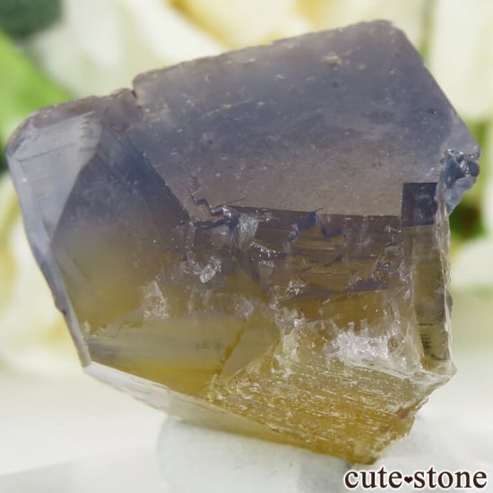 ե Valzergues ֥롼ե饤Ȥη뾽ʸС23gμ̿1 cute stone