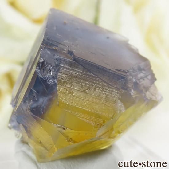 ե Valzergues ֥롼ե饤Ȥη뾽ʸС23gμ̿2 cute stone