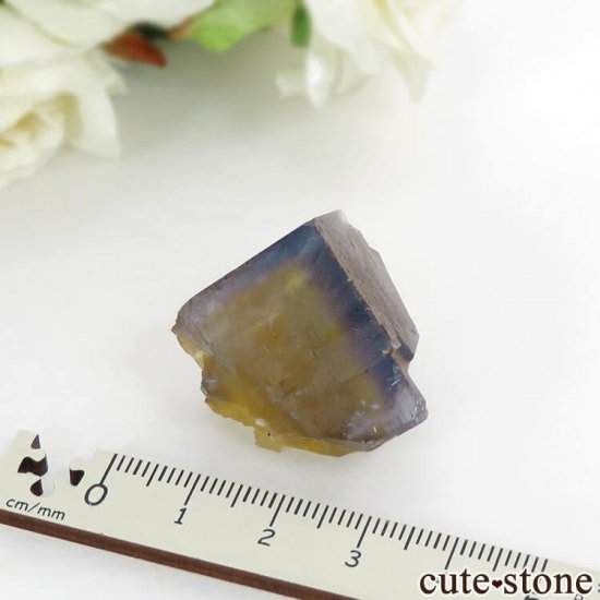 ե Valzergues ֥롼ե饤Ȥη뾽ʸС23gμ̿3 cute stone