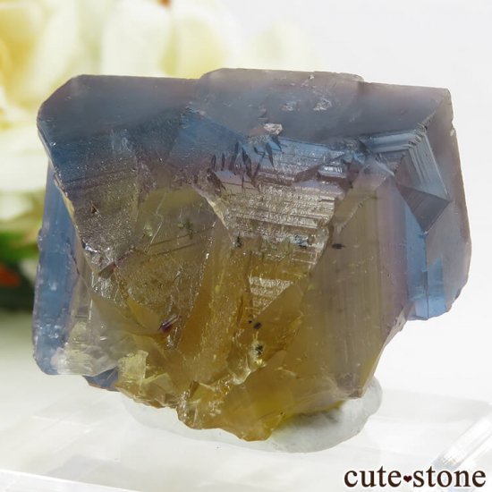 ե Valzergues ֥롼ե饤Ȥη뾽ʸС37gμ̿1 cute stone