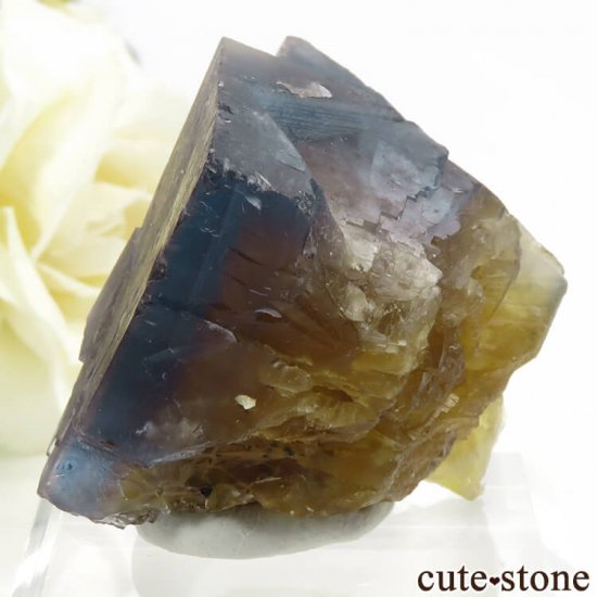 ե Valzergues ֥롼ե饤Ȥη뾽ʸС59gμ̿3 cute stone