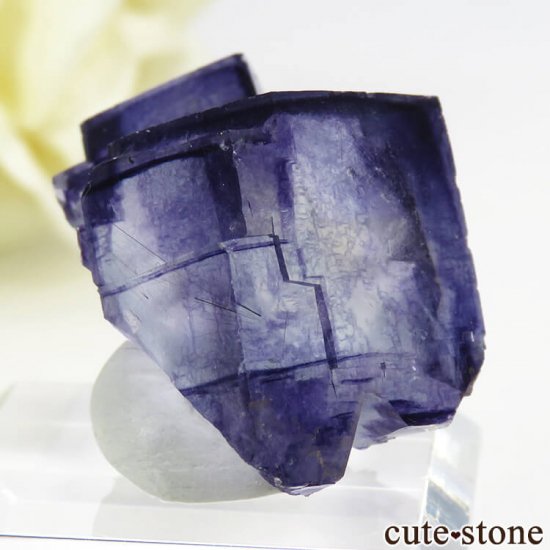 䥪󥷥 ֥롼ե饤 16.9gμ̿0 cute stone