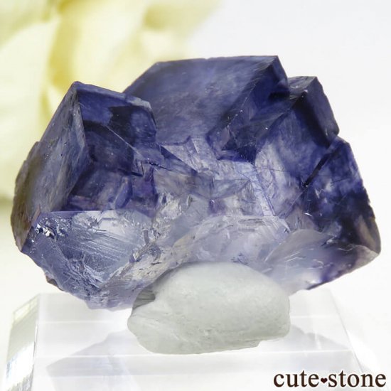 䥪󥷥 ֥롼ե饤 16.9gμ̿1 cute stone