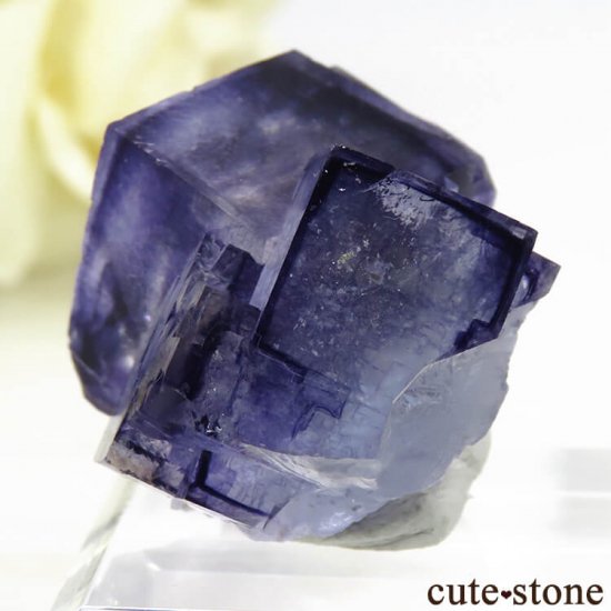 䥪󥷥 ֥롼ե饤 16.9gμ̿2 cute stone
