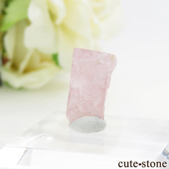 ѥ ե󥶻 ԥ󥯥ѥȤη뾽ʸС 1.7gμ̿2 cute stone
