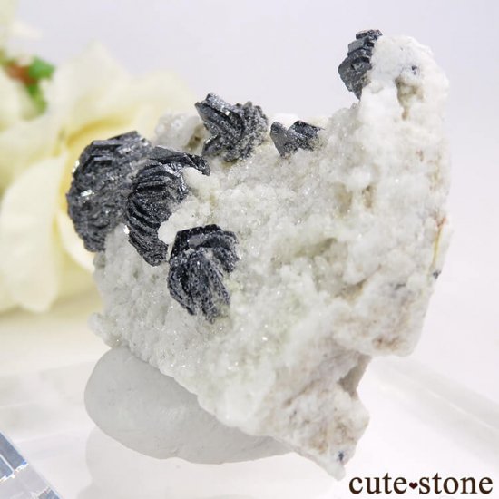 ѥ ɥ (إޥ)դ뾽ʸ) 25.4gμ̿3 cute stone