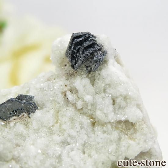 ѥ ɥ (إޥ)դ뾽ʸ) 25.4gμ̿7 cute stone