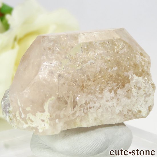 ե˥ 륬ʥȤդ뾽ʸС 23.5gμ̿0 cute stone