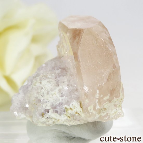 ե˥ 륬ʥȤդ뾽ʸС 23.5gμ̿1 cute stone