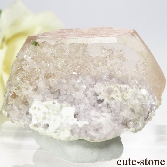 ե˥ 륬ʥȤդ뾽ʸС 23.5gμ̿2 cute stone