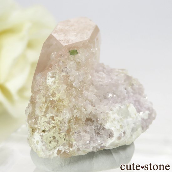 ե˥ 륬ʥȤդ뾽ʸС 23.5gμ̿3 cute stone