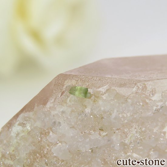 ե˥ 륬ʥȤդ뾽ʸС 23.5gμ̿6 cute stone