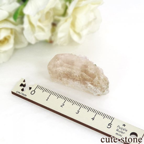 ե˥ 륬ʥȤդ뾽ʸС 23.5gμ̿7 cute stone