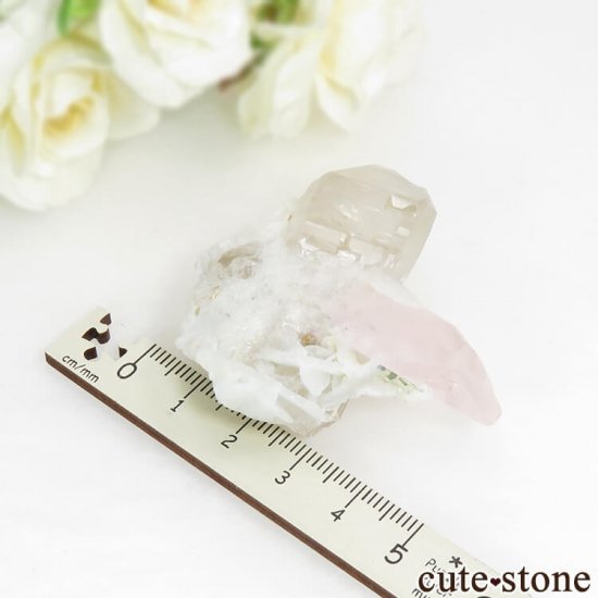 ե˥ 륬ʥȡĤդ뾽ʸС 42.6gμ̿6 cute stone