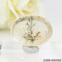 ֥饸뻺 ǥɥƥåĤΥ롼 9.7ctβ