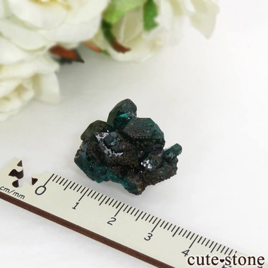  Tantara MineΥץơη뾽ʸС10gμ̿4 cute stone