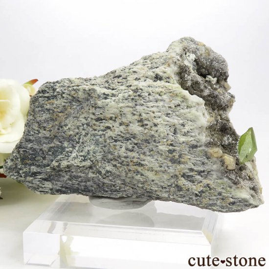 ѥ Tormiq valley եդ 195gμ̿0 cute stone